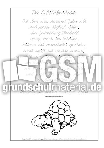 Nachspuren-Die-Schildkrökröte-Morgenstern-SAS.pdf